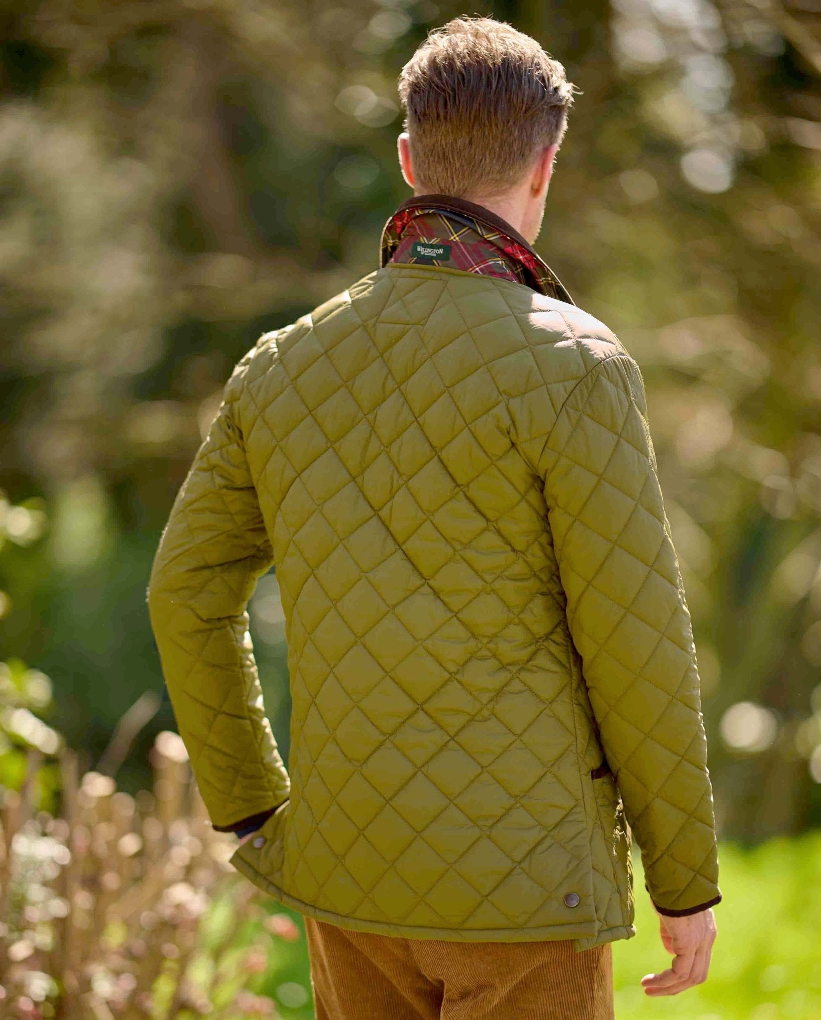 Herren Steppjacke ''York'' in sage - Wellington of Bilmore