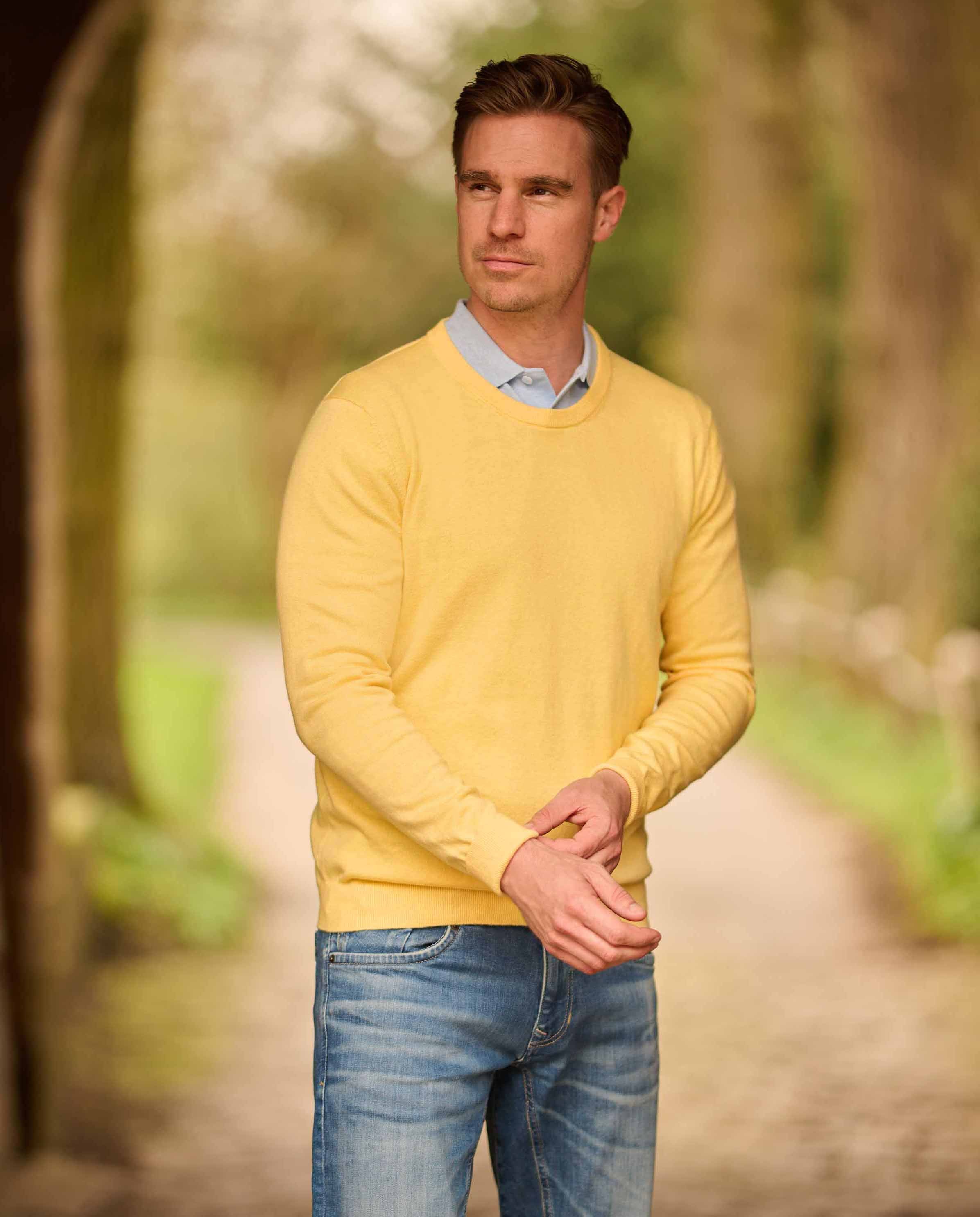 Herrenpullover Rundhals ''Till'' in sun